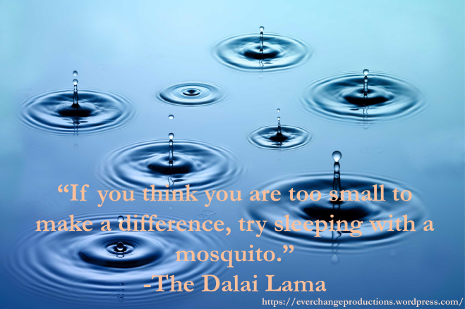 'If you think you are too small to make a difference, try sleeping with a mosquito.' -The Dalai Lama