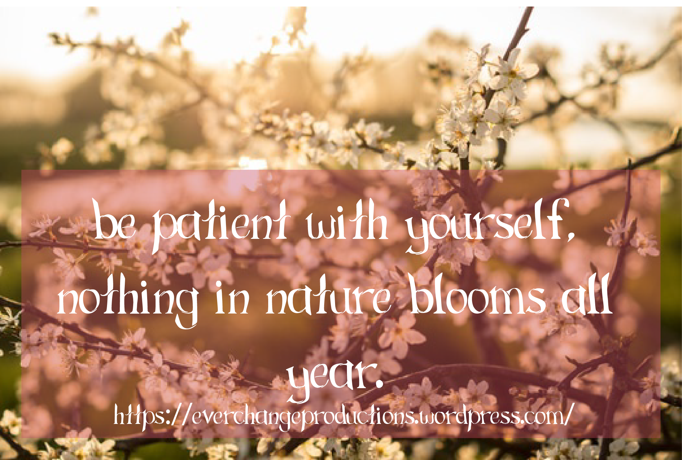 Do you need some encouragement to get you started this week? Just remember: Be patient with yourself, nothing in nature blooms all year.