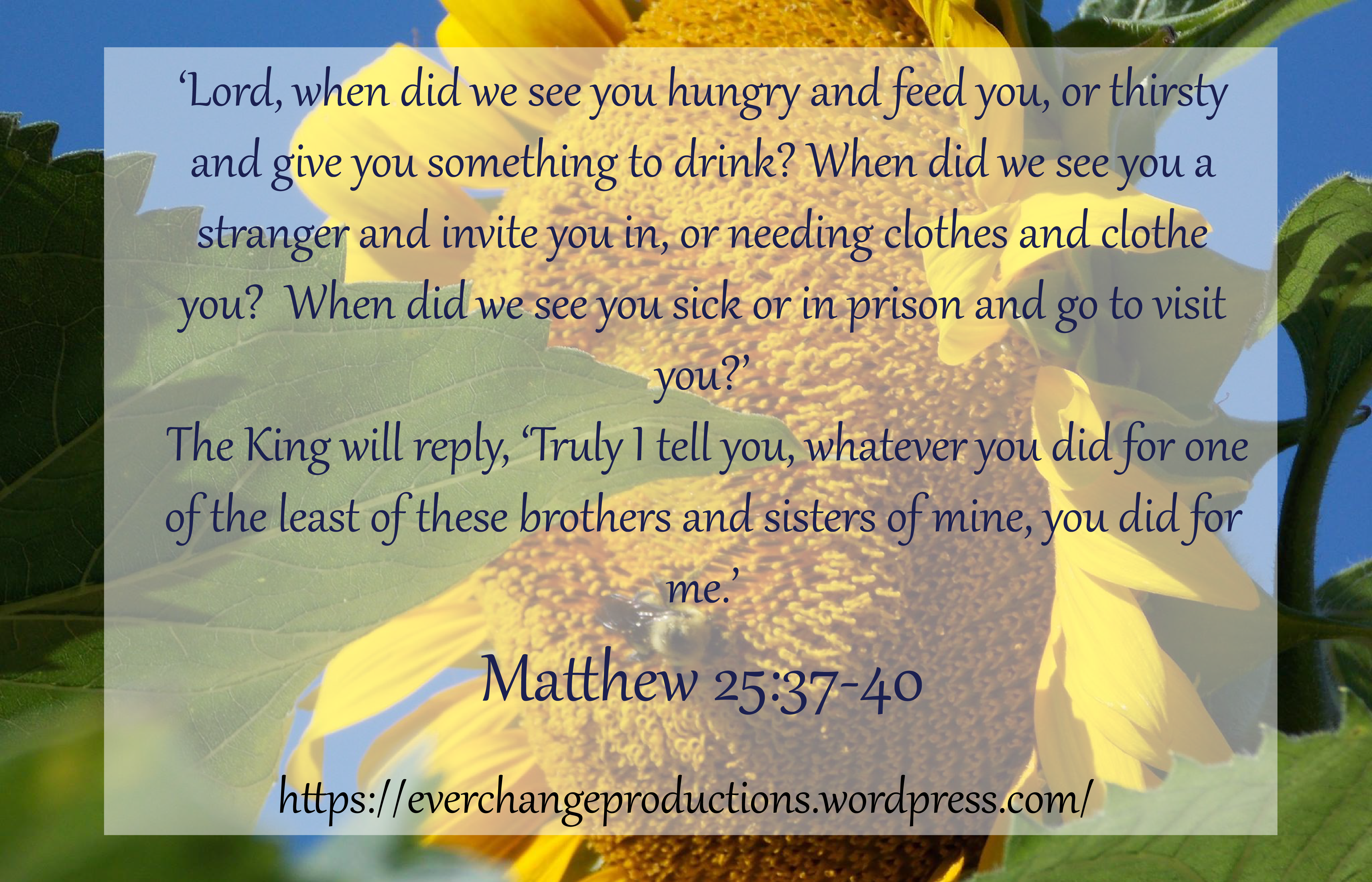 How to Care for God's Creations Matthew 25:37-40