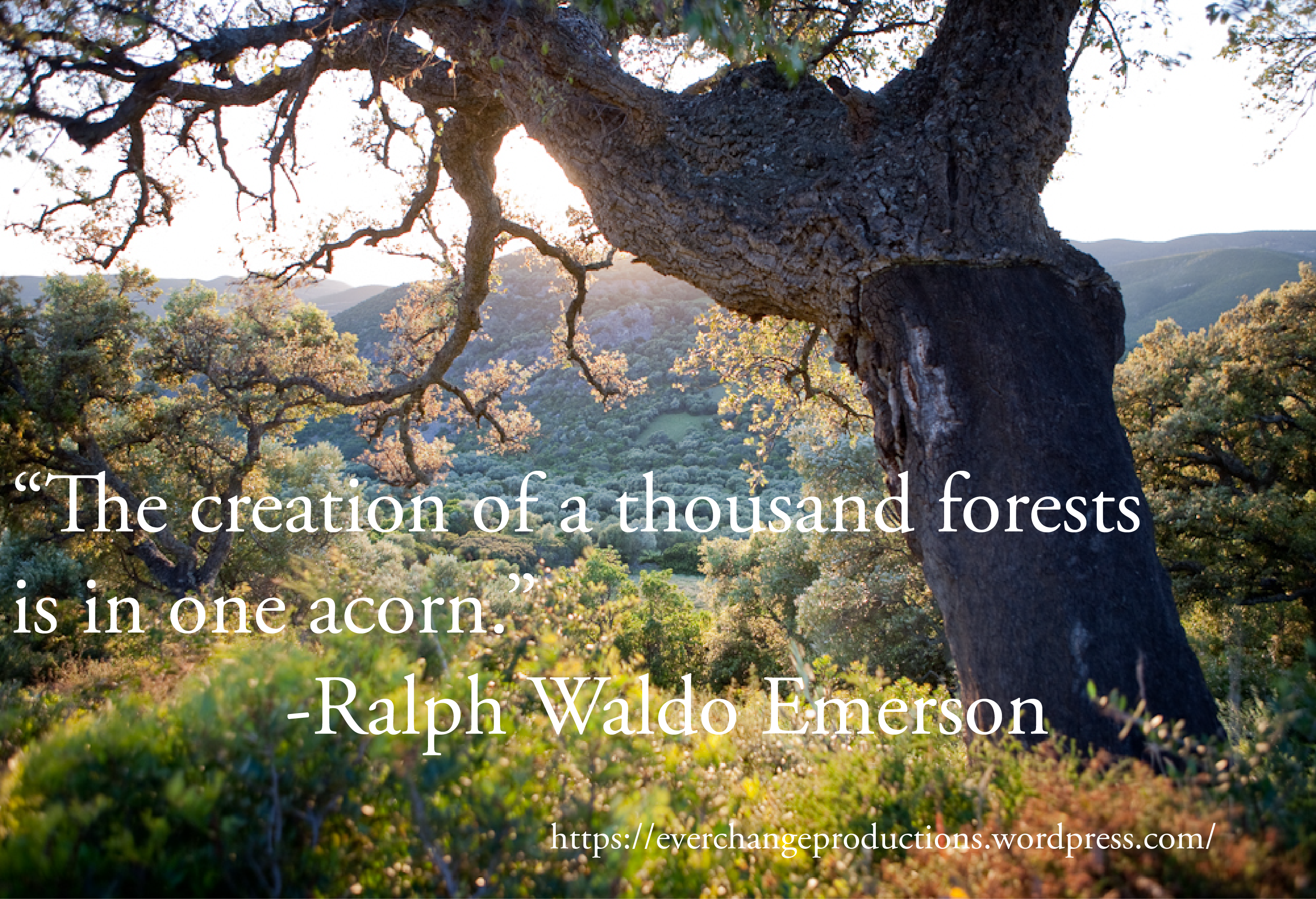 "The creation of a thousand forests is in one acorn." -Ralph Waldo Emerson motivational quote