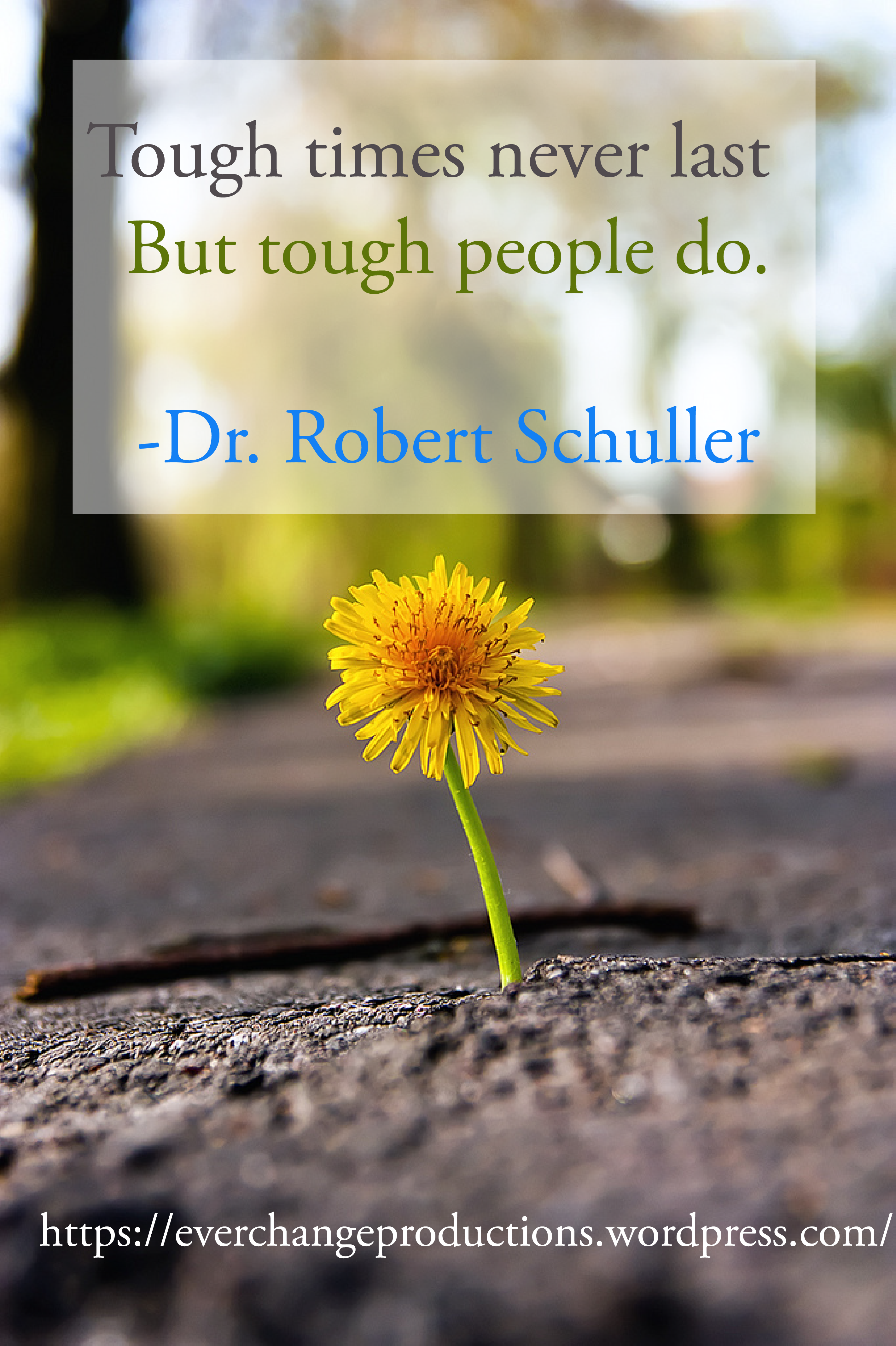 "Tough times never last, but tough people do."- Dr. Robert Schuller inspirational quote