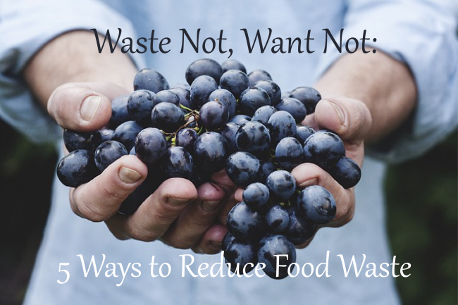 Waster-Not-Want-Not-5-Ways-To-Reduce-Food-Waste