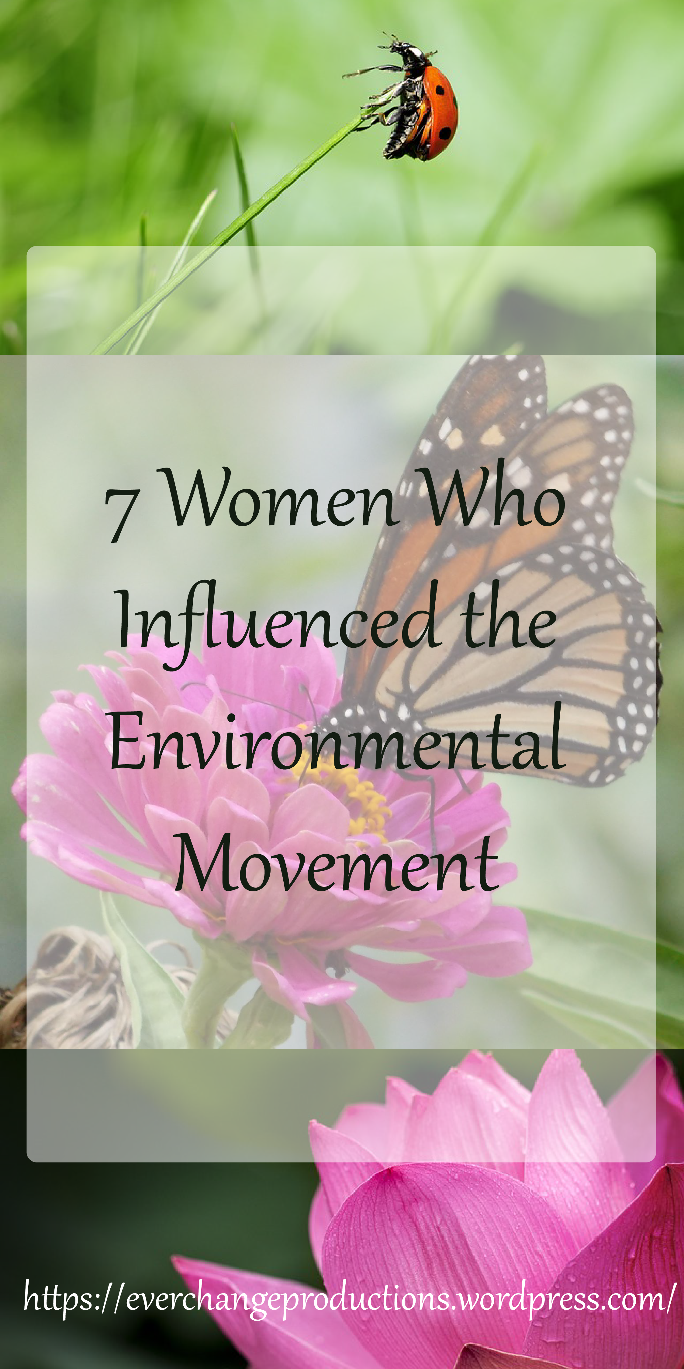 7 Women Who Influenced the Environmental Movement