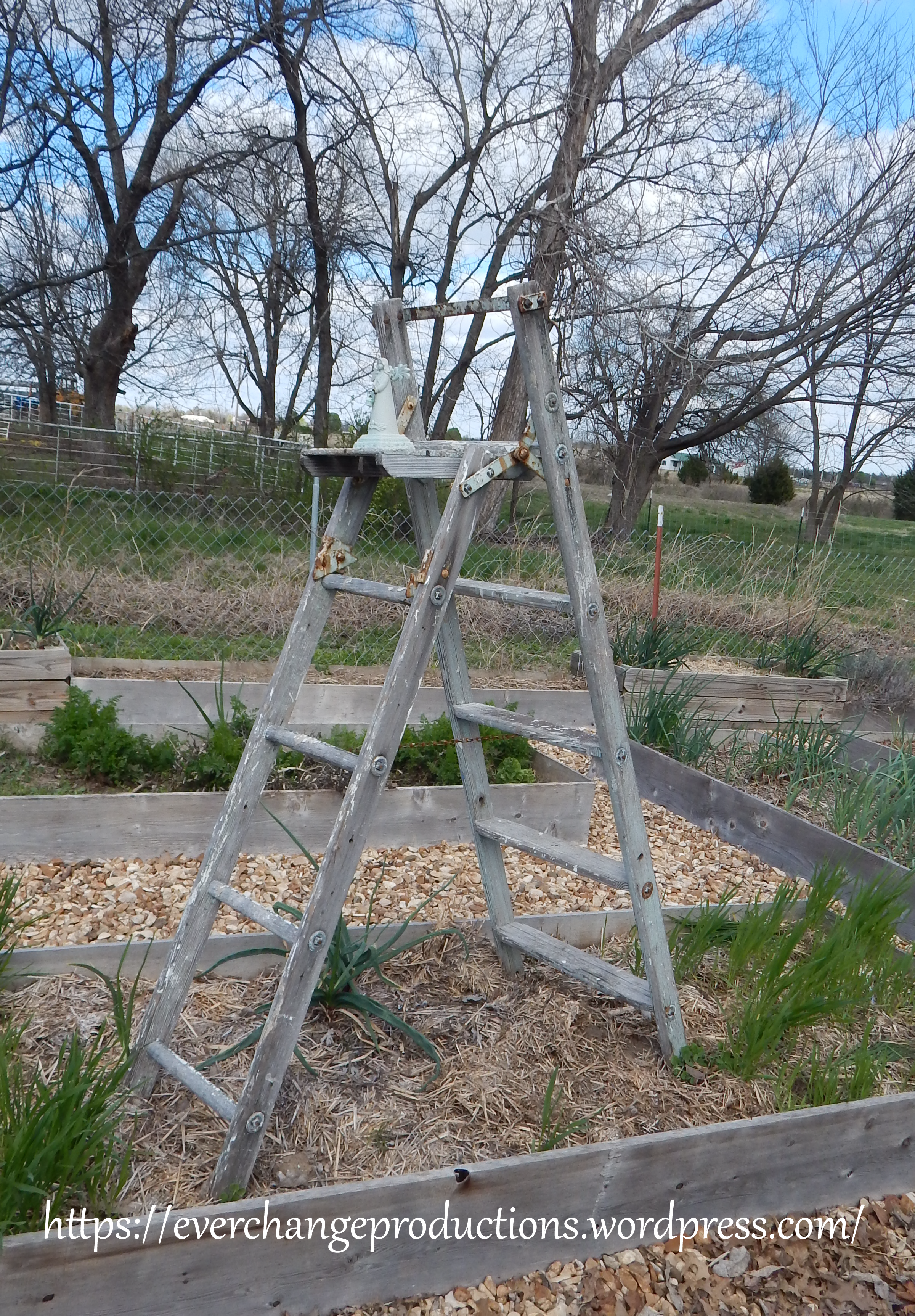 Repurpose an old ladder into a trellis